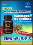 看更好的的效果,請點擊放大!!